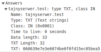 Rekord TXT odpowiedzi DNS